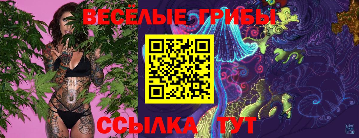 Псилоцибиновые грибы Magic Shrooms Озёрск